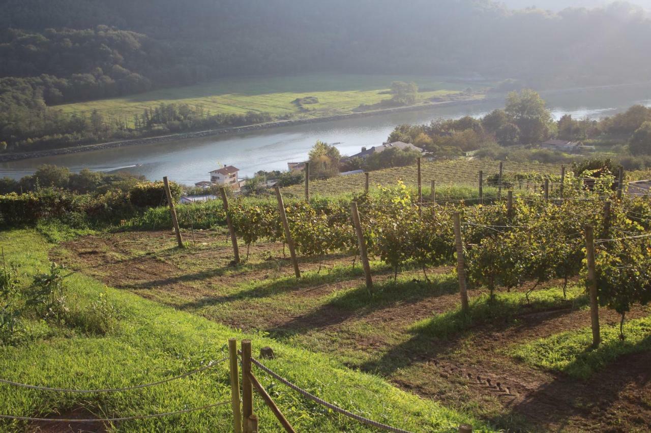 Casa Rural Erretzabal Txiki Orio Bagian luar foto